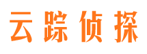 双桥市侦探公司